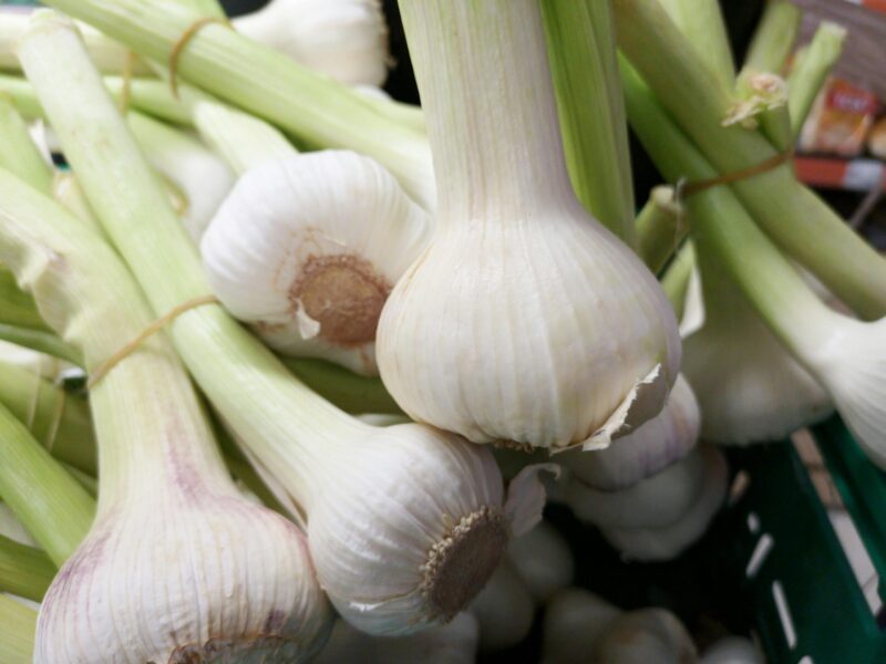 Knoflook Gehakt 3MM - Afbeelding 5