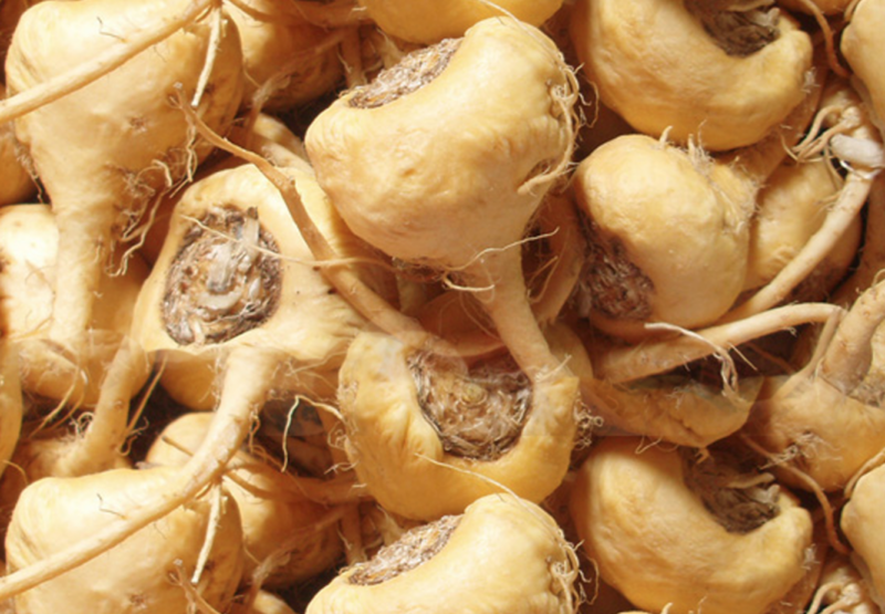 Maca Root - Afbeelding 4