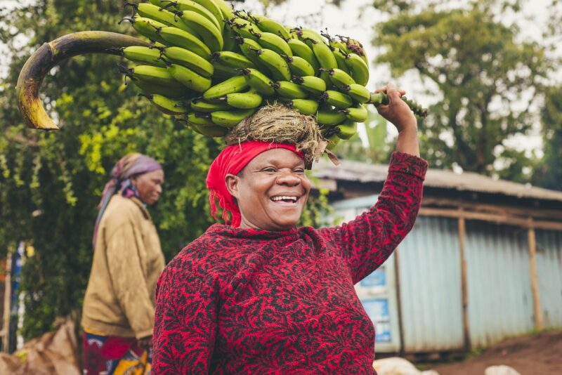 Plantain Flour/Bakbanaanmeel - Afbeelding 3